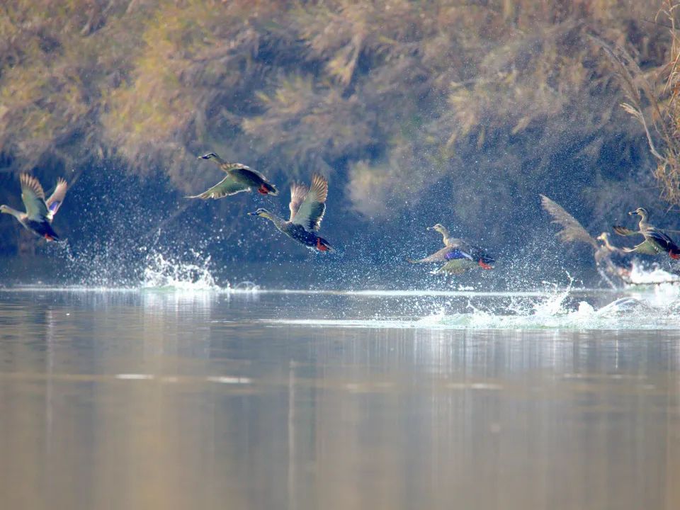 640 (18).jpg 640 (18).jpg